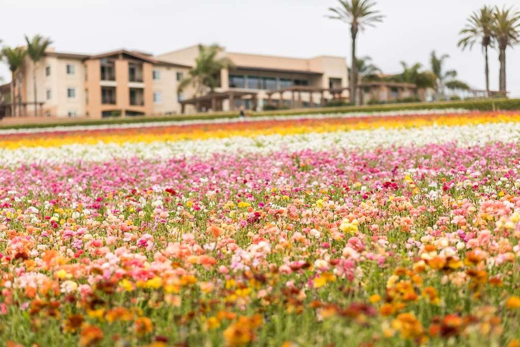 Grand Pacific Palisades Resort Κάρλσμπαντ Εξωτερικό φωτογραφία