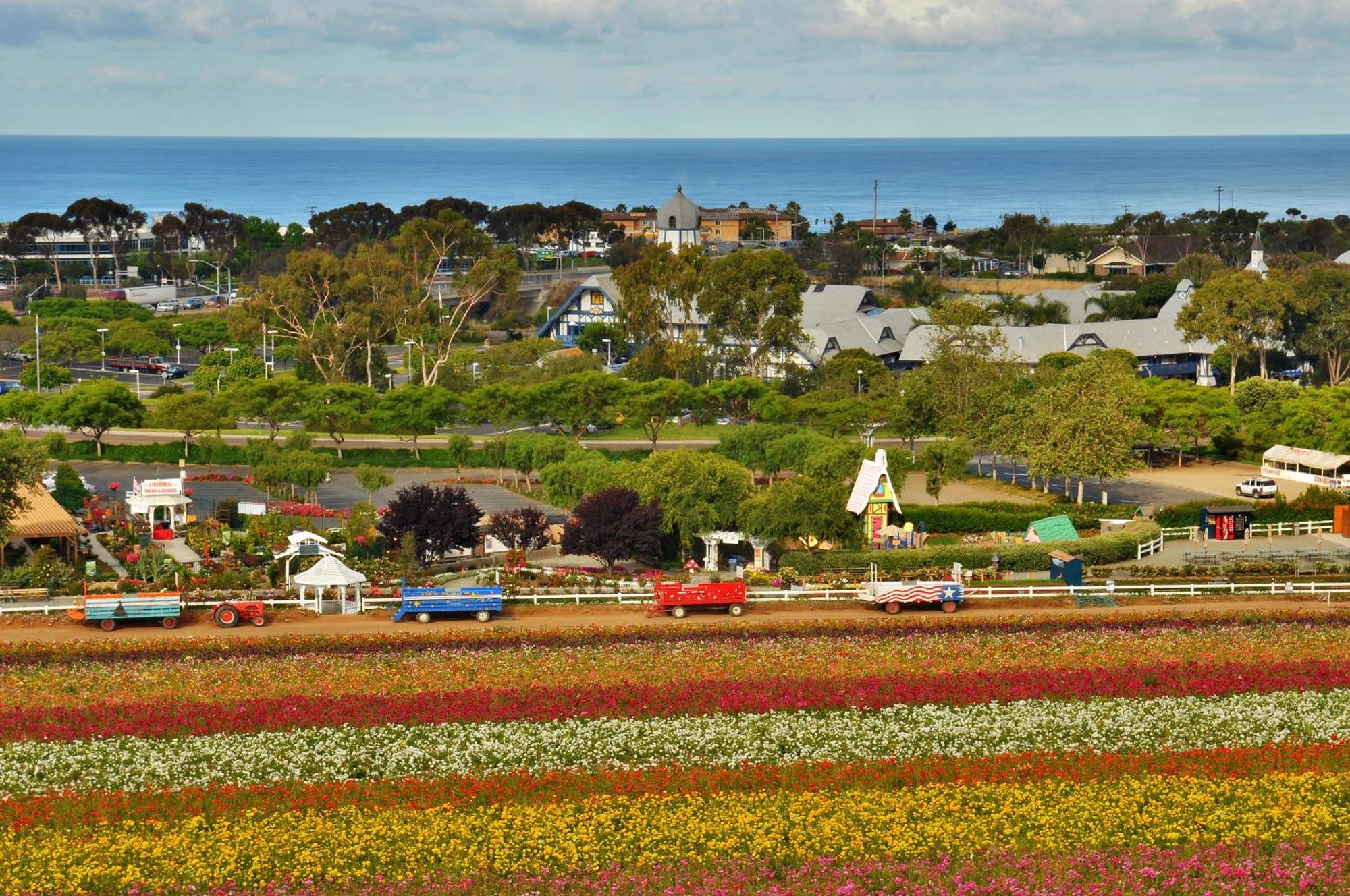 Grand Pacific Palisades Resort Κάρλσμπαντ Εξωτερικό φωτογραφία