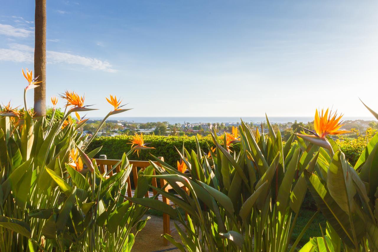 Grand Pacific Palisades Resort Κάρλσμπαντ Εξωτερικό φωτογραφία