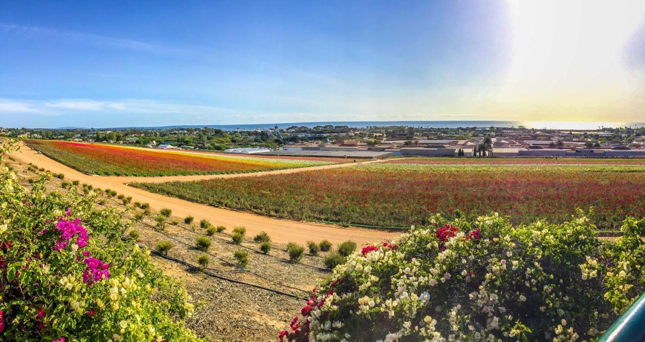 Grand Pacific Palisades Resort Κάρλσμπαντ Εξωτερικό φωτογραφία